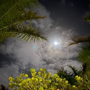 Meet your Posher, Clyda